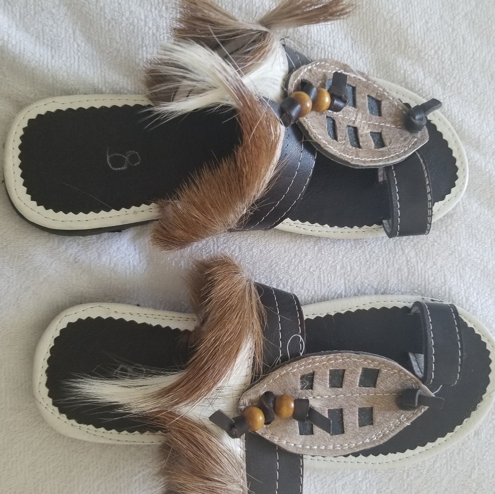 Sanders - Picture 4 of 4